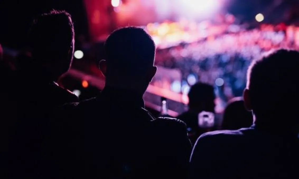 Concertgoers enjoy the show at The O2 Belfast