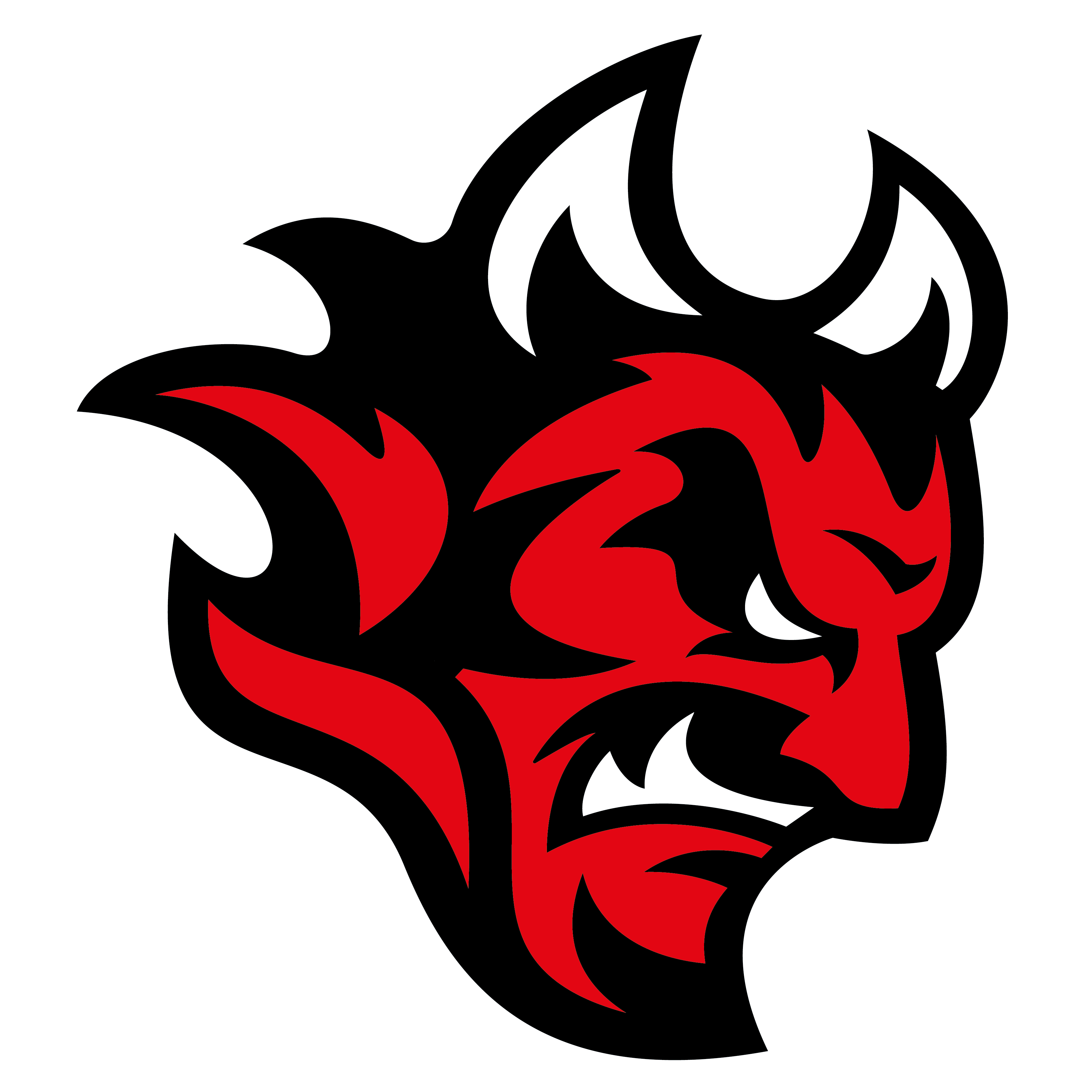 Cardiff devils 2023